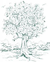How Many Past Life Faces are on the Tree of
Life?